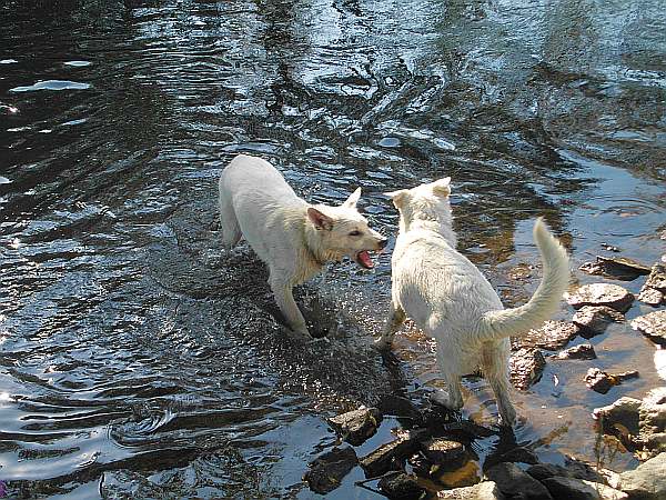 Streit ums Wasser