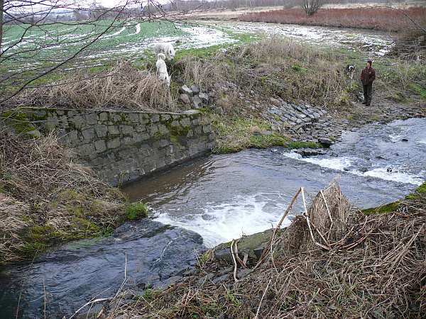 Blick von oben Wasserfall und Neissezufluss