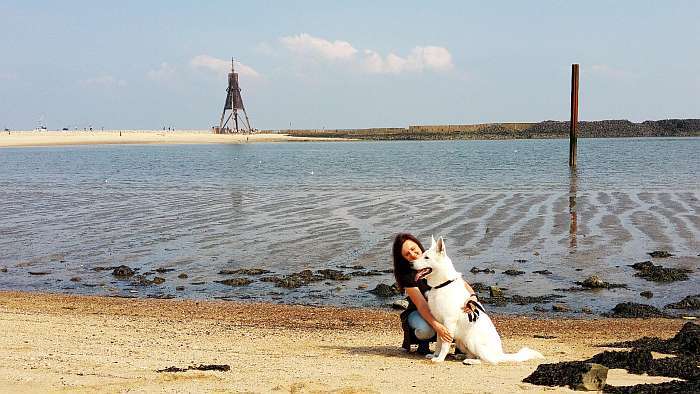 Aragon, weisser Schferhund von den Grenzgngern