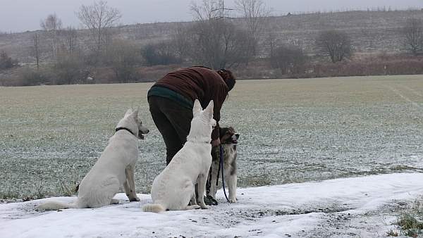 Sitz vorm Starten, Spaziergang, 