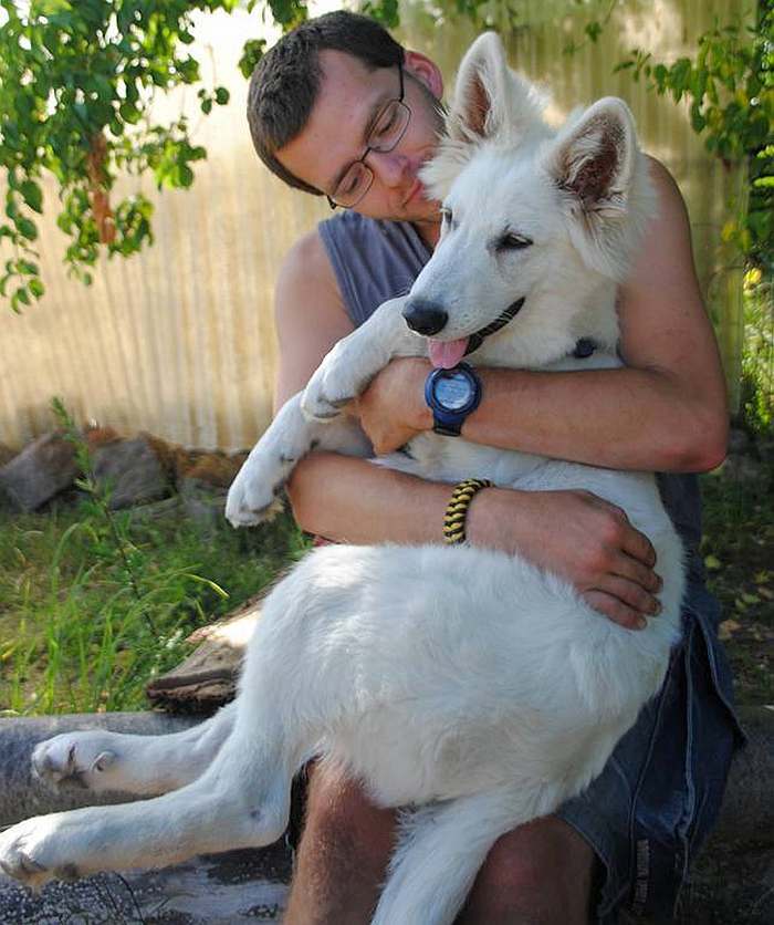 weisser Schäferhund - die Grenzgänger