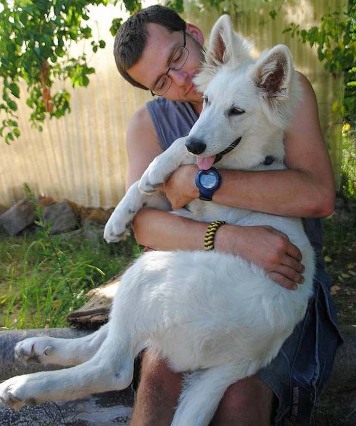 weisser Schferhund - die Grenzgnger