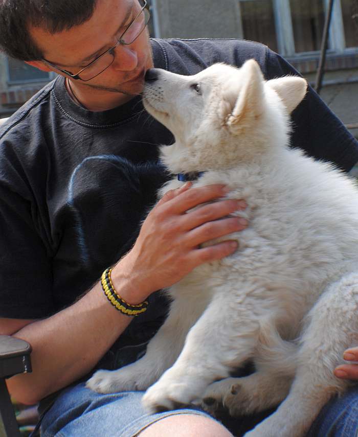 weisser Schäferhund - die Grenzgänger