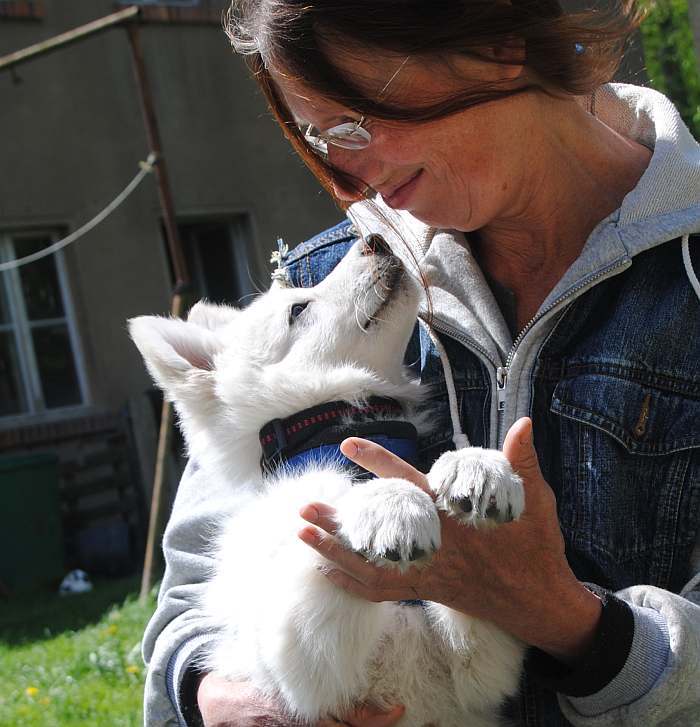 weisser Schäferhund - die Grenzgänger