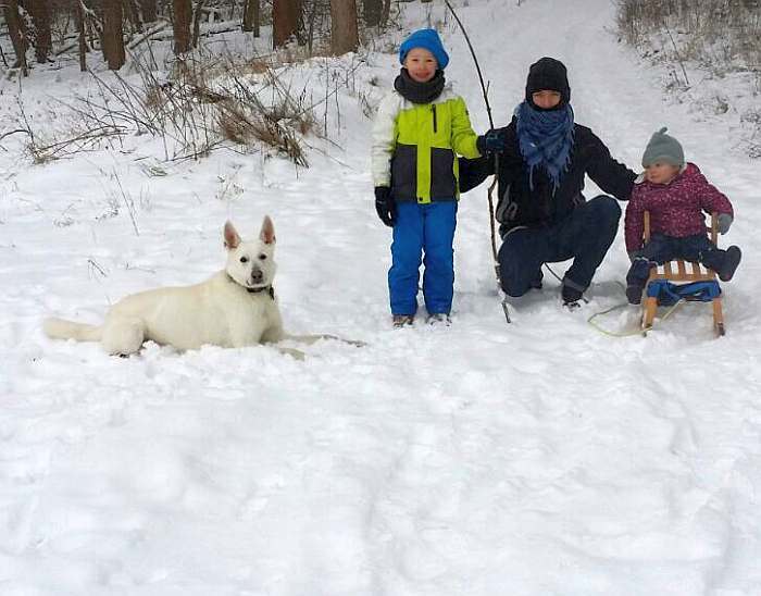 weisser Schferhund von den Grenzgngern